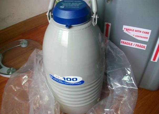 美國液氮罐進口清關(guān)案例分享，急客戶所急