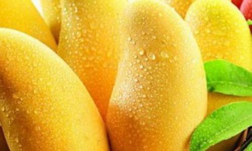 1571103073623975.jpg 泰國芒果進口報關(guān)