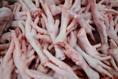 1576055400429269.jpg 進(jìn)口冷凍雞爪報關(guān)