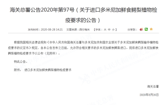 1598942755195767.jpg 進口多米尼加鱷梨清關(guān)