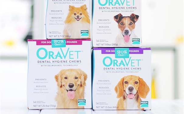 1610705177683678.jpg 201903051823119168564_副本.jpg