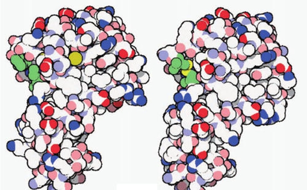 【進口酶清關代理】的流程,一般貿(mào)易進口酶 進口酶清關代理
