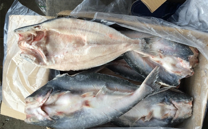 進口巴沙魚清關代理一點都不難，只要你準備好這些資料