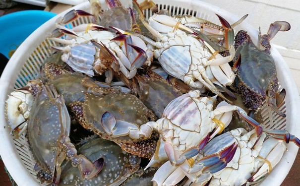 冷凍蟹進(jìn)口報(bào)關(guān)一般貿(mào)易流程 冷凍蟹進(jìn)口報(bào)關(guān)