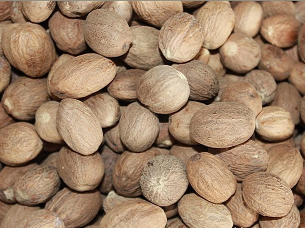 寧波港進口肉豆蔻通關一站式進口代理 肉豆蔻進口報關.jpg