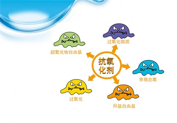 抗氧化劑進口報關流程手續經驗豐富 抗氧化劑進口報關_副本.jpg