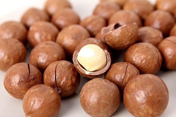 1637058081880408.jpg 上海堅果進口報關代理_副本.jpg