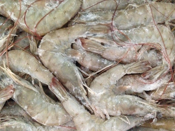 1638359054423181.jpg 冷凍水產(chǎn)品進口清關(guān)資料簡介_進口水產(chǎn)品標簽問題_副本.jpg