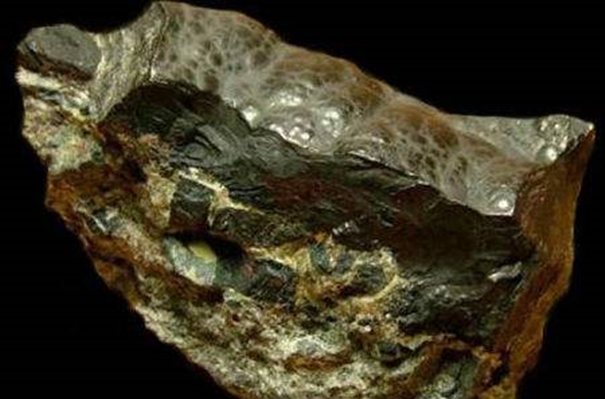 1639548352232189.jpg 寧波金精礦進口清關_副本.jpg