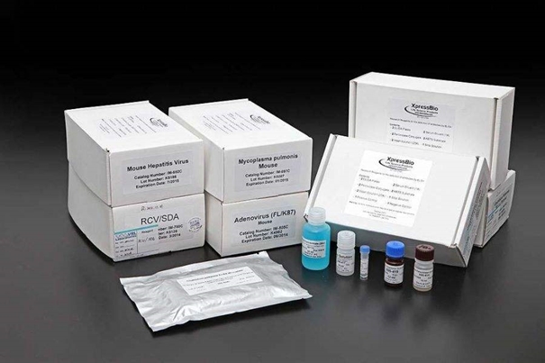 1639982035396984.jpg 美國進(jìn)口生物試劑報(bào)關(guān)常見問題_副本.jpg