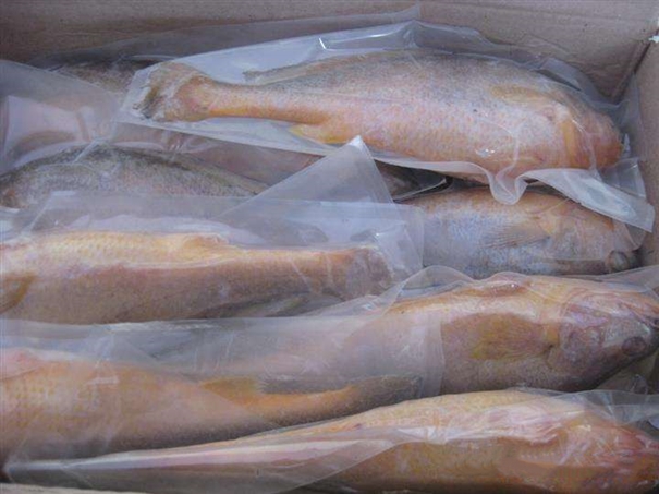 進(jìn)口韓國海鮮報(bào)關(guān) 進(jìn)口韓國海鮮報(bào)關(guān)