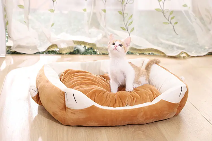 1647855894754245.png 歐洲寵物用品進口報關_副本.png