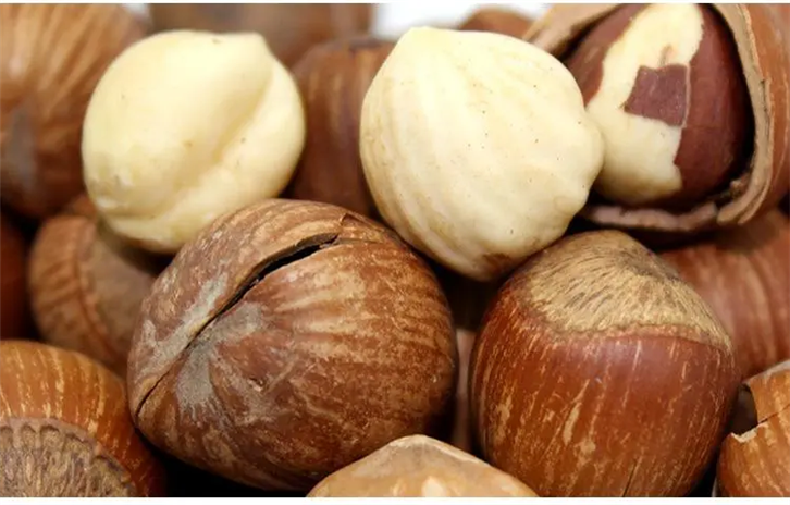 1651051189308885.png 帶殼堅果進口清關_副本.png