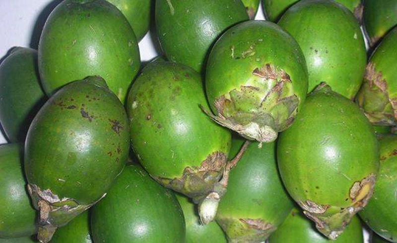 1653302923558674.jpg 進口臺灣新鮮檳榔報關.jpg