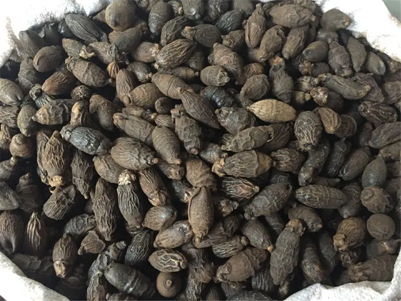 1653375333257621.png 進(jìn)口馬來西亞干檳榔清關(guān).png