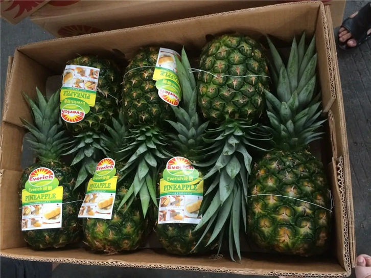 鮮菠蘿進口清關代理 鮮菠蘿進口清關代理