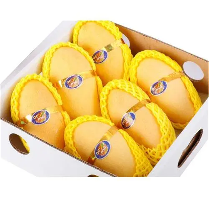 進(jìn)口巴基斯坦鮮芒果報關(guān) (2).png