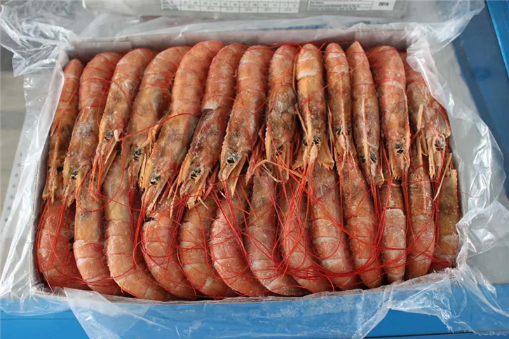 1655980172806973.png 進(jìn)口印度尼西亞海鮮報(bào)關(guān).png