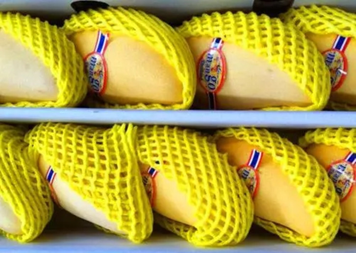 1657875586603233.jpg 廣州進(jìn)口鮮芒果報(bào)關(guān).jpg