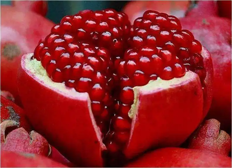 1661418225532826.png 埃及石榴進口清關.png