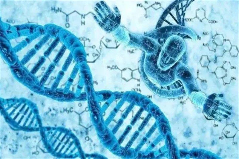 1666777381414942.png 進口測試細胞報關要求.png