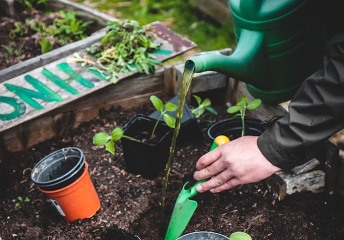 1673863015275002.jpg 植物培養液進口報關報檢流程1.jpg