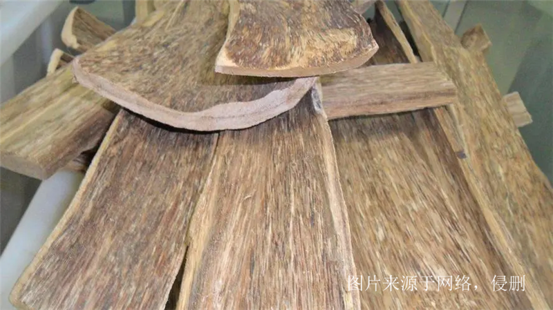 1675848857872728.png 進口沉香木片報關(guān).png