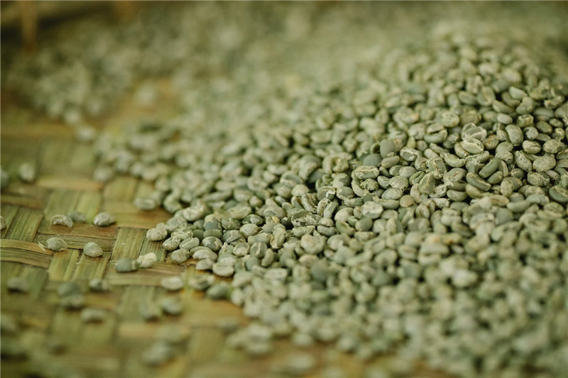 1677226256165532.png 坦桑尼亞進口生咖啡豆報關.png