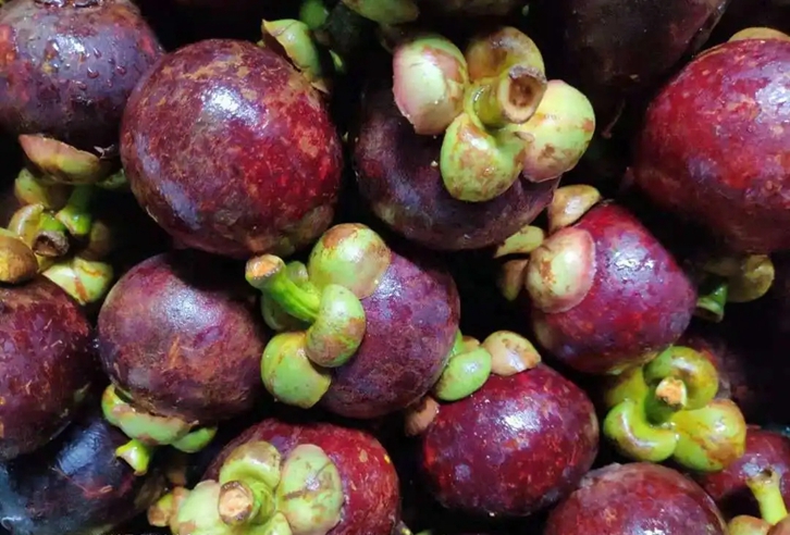 越南山竹進口清關(guān)費用 越南山竹進口清關(guān)費用