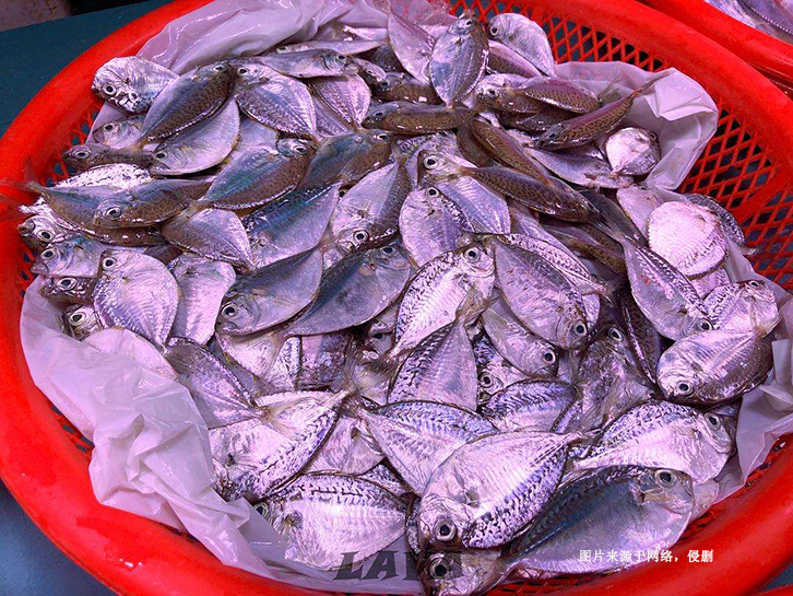 厄瓜多爾冷凍魚進口清關流程 厄瓜多爾冷凍魚進口清關流程