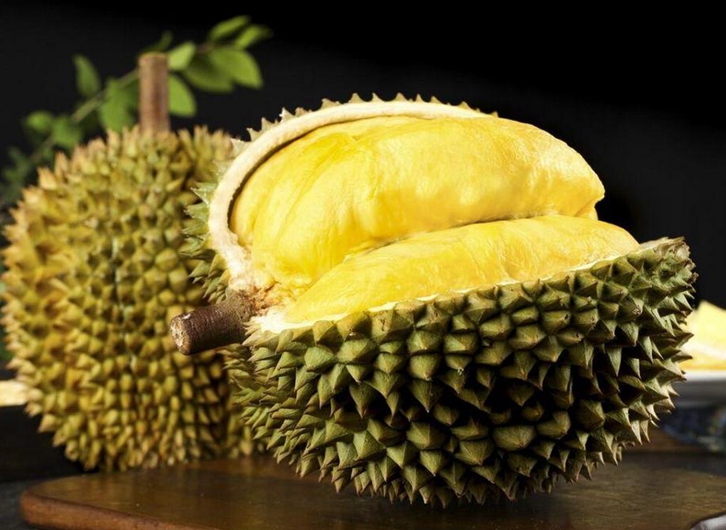 馬來(lái)西亞榴蓮進(jìn)口報(bào)關(guān)資料 馬來(lái)西亞榴蓮進(jìn)口報(bào)關(guān)資料