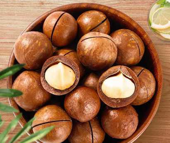 南非夏威夷果進口報關 南非夏威夷果進口報關