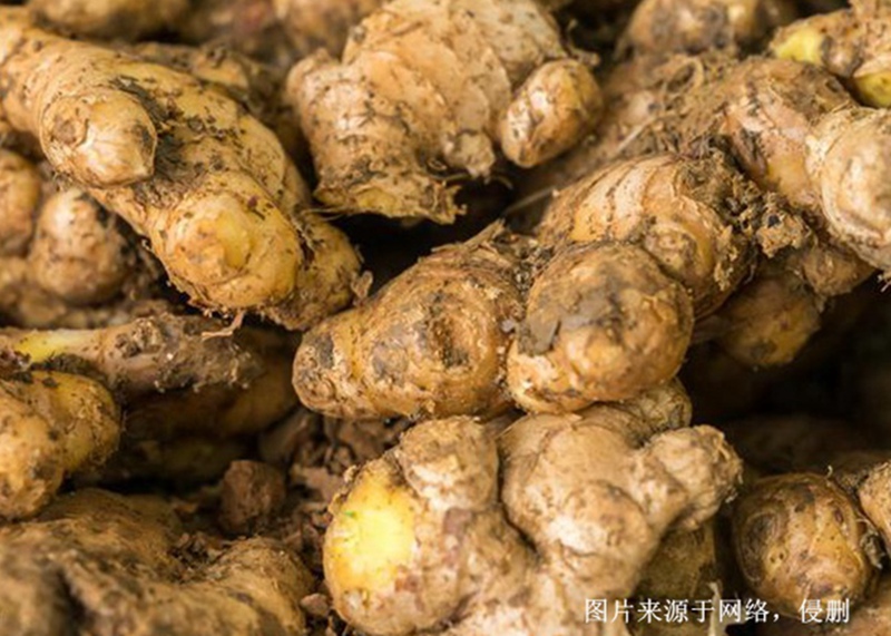 越南生姜進口清關流程 越南生姜進口清關流程